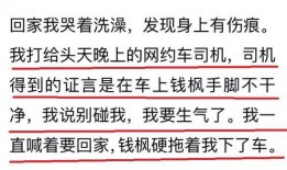 最新爆料文章怎么写,深度解析事件背后真相