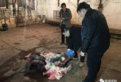 孝感暗访爆料事件最新,揭露背后惊人真相，揭开养老院黑幕