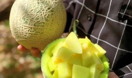 娱乐网吃瓜,揭秘明星幕后故事