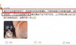 为什么爆料不了澎湃新闻,为何爆料难以成真