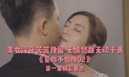 爱不怕在线观看,跨越时空的真挚情感之旅